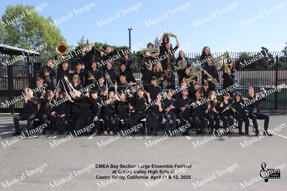 Musical Images